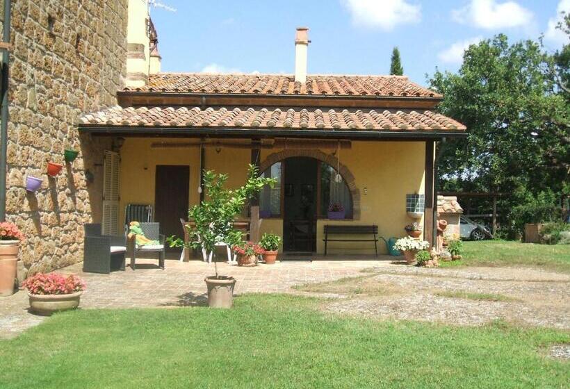 آپارتمان 1 خوابه همکف, Poggio Dell Olivo