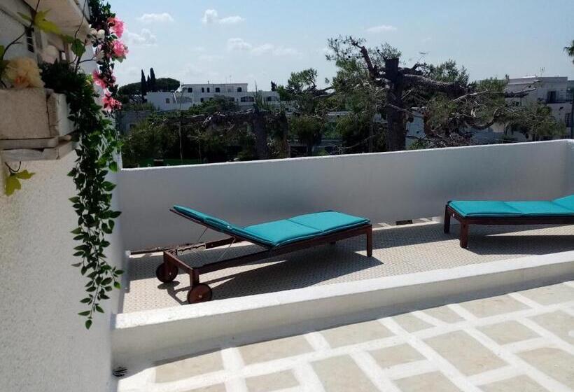 استودیو استاندارد با تراس, Residence Orsa Minore