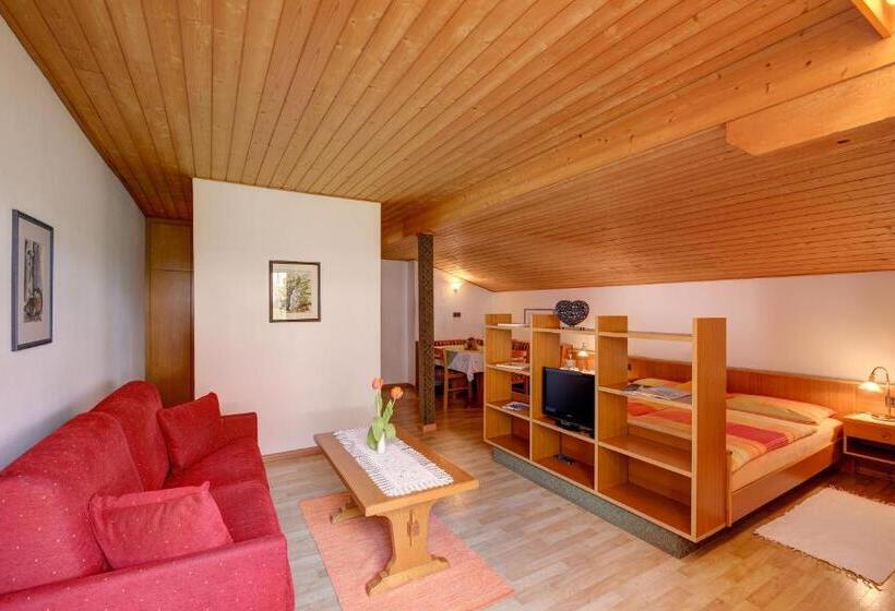 Студия Стандарт, Apparthotel Taufenbrunn