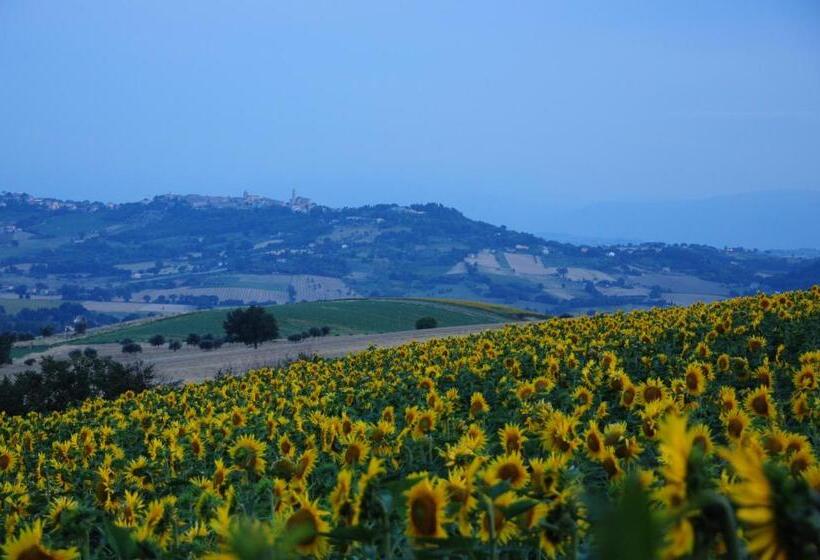 آپارتمان 1 خوابه, Il Casale