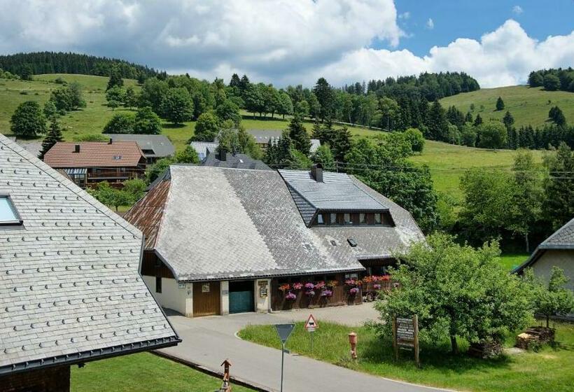 Номер Стандарт, Gasthaus Löwen