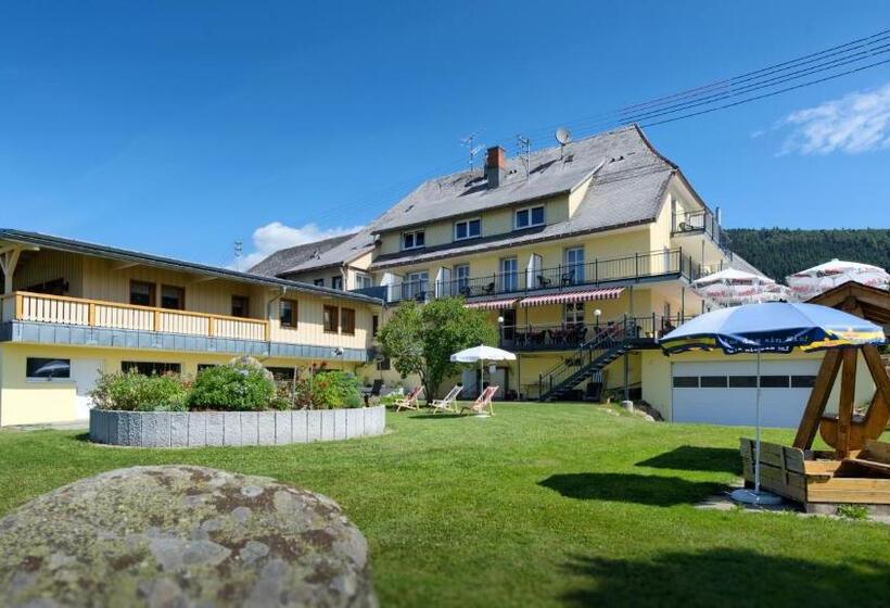 Номер Deluxe, Gasthaus Löwen