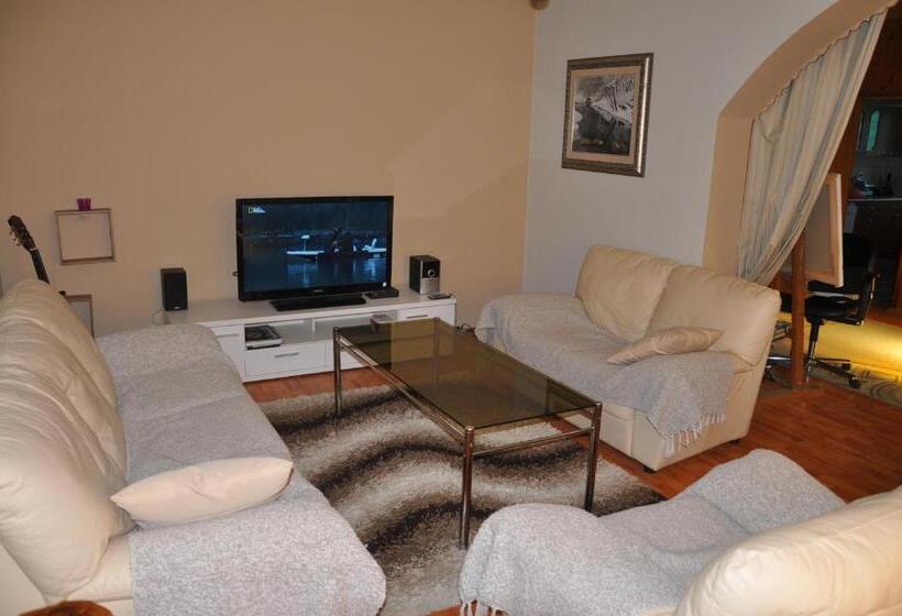 اتاق استاندارد با سرویس بهداشتی مشترک, Guesthouse Djurić