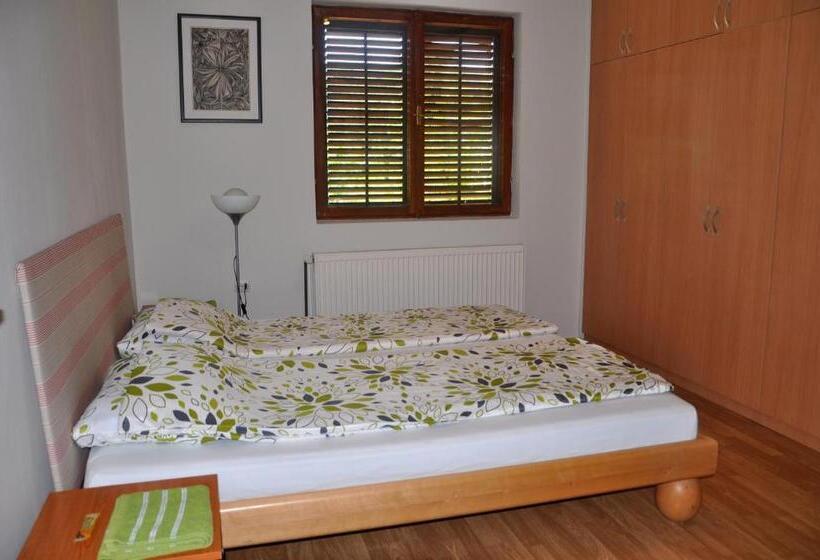 اتاق استاندارد با سرویس بهداشتی مشترک, Guesthouse Djurić