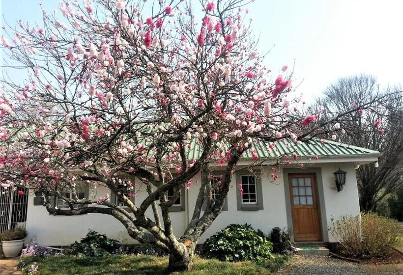 Номер Стандарт, Sani Window B&b And Self Catering