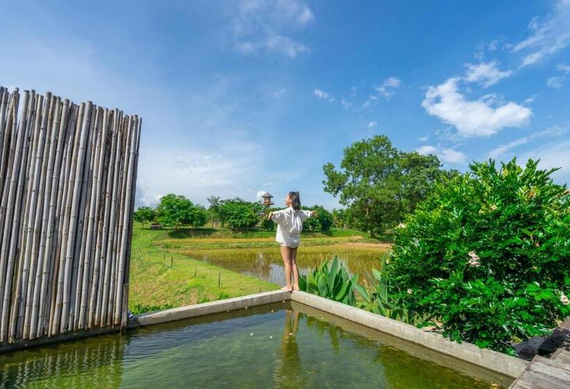 Вилла 1 Спальня, Coolliving Farmhouse Organic