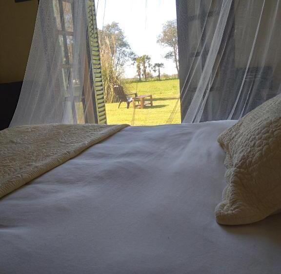 スタンダードルーム, La Perdida Casa De Campo