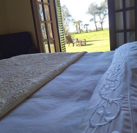 スタンダードルーム, La Perdida Casa De Campo