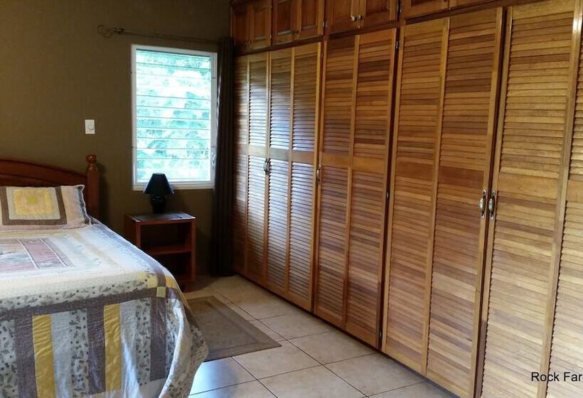 اتاق سوپریور با چشم‌انداز باغ, Rock Farm Guest House