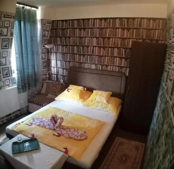 Номер Deluxe, Jocó Panzió