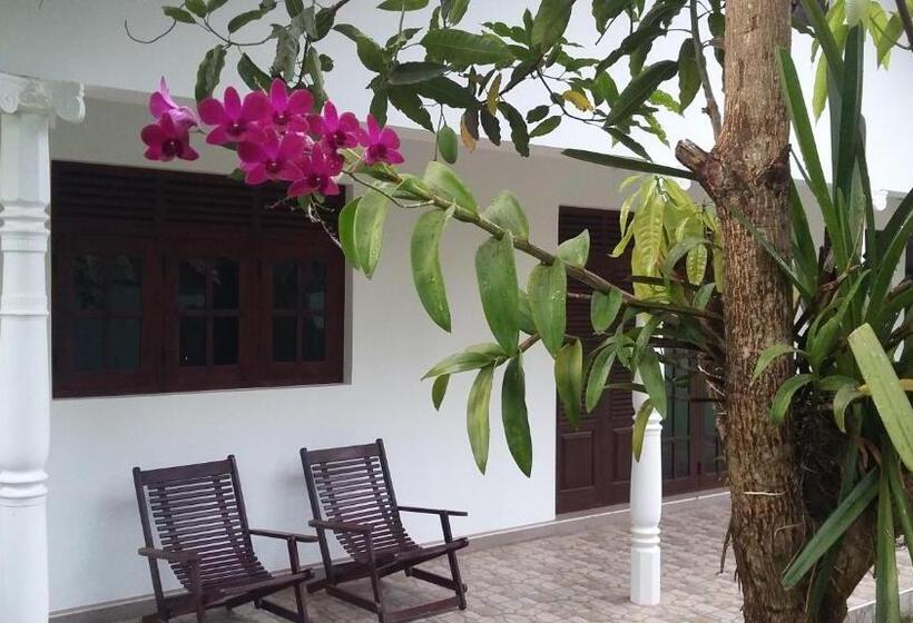 اتاق اکونومی یک تخته, Travel Bird Villa   Foreign Bookings Only
