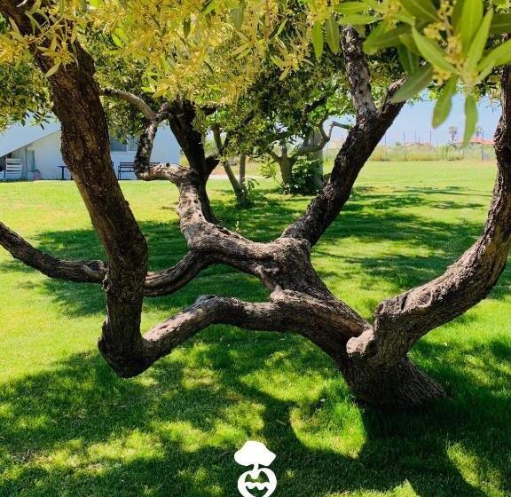 Одноместный Номер Вид на Сад, Relais Il Giardino Fra Gli Ulivi