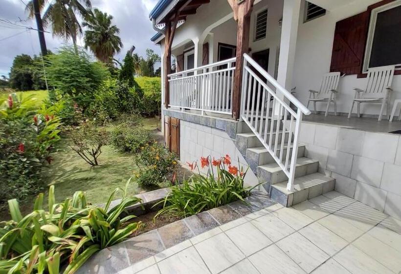 آپارتمان 1 خوابه با چشم‌انداز دریا, Appartement Les Bougainvilliers Vue Mer