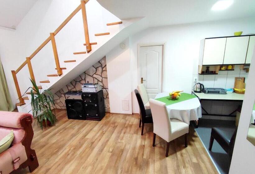اتاق استاندارد, Apartments And Rooms Minex