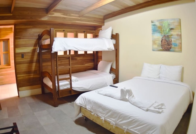 اتاق استاندارد چهار تخته, Casa Aura: Beachfront Premium Hostel