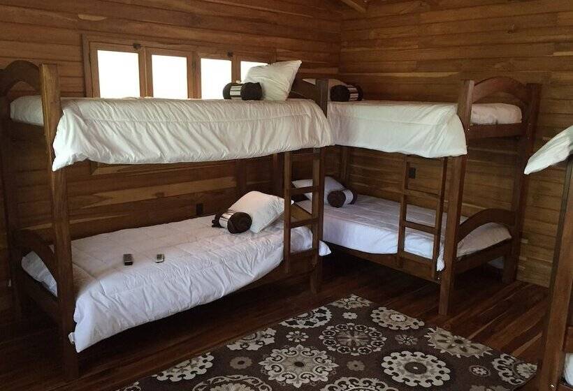 تختخواب در اتاق مشترک, Casa Aura: Beachfront Premium Hostel