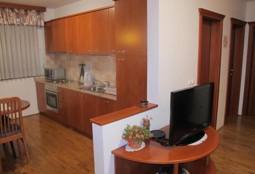 آپارتمان 1 خوابه, Apartment Sobe Ravbar