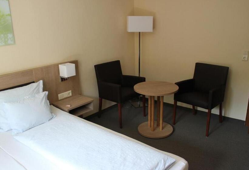 Номер Стандарт, Pension Alfenz