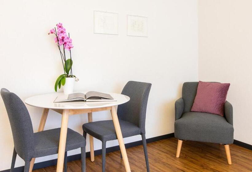Номер Стандарт Индивидуальный, Apartmenthaus Zum Trillen Basel City Center
