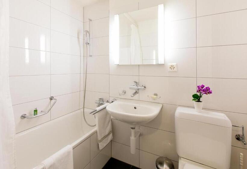 Апартаменты 1 Спальня, Apartmenthaus Zum Trillen Basel City Center