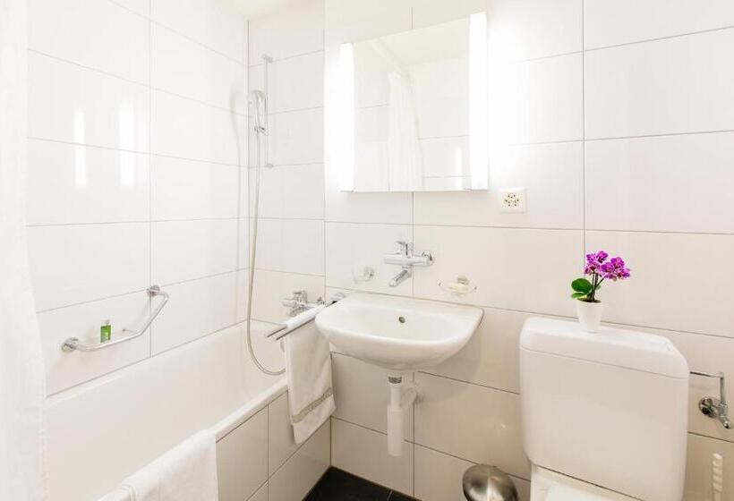 Полулюкс с Балконом, Apartmenthaus Zum Trillen Basel City Center