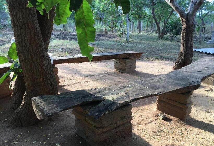 سوئیت جونیور با چشم‌انداز باغ, The Summer Corridor   Kataragama