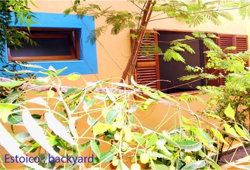 اتاق اکونومی, Solar Windelo