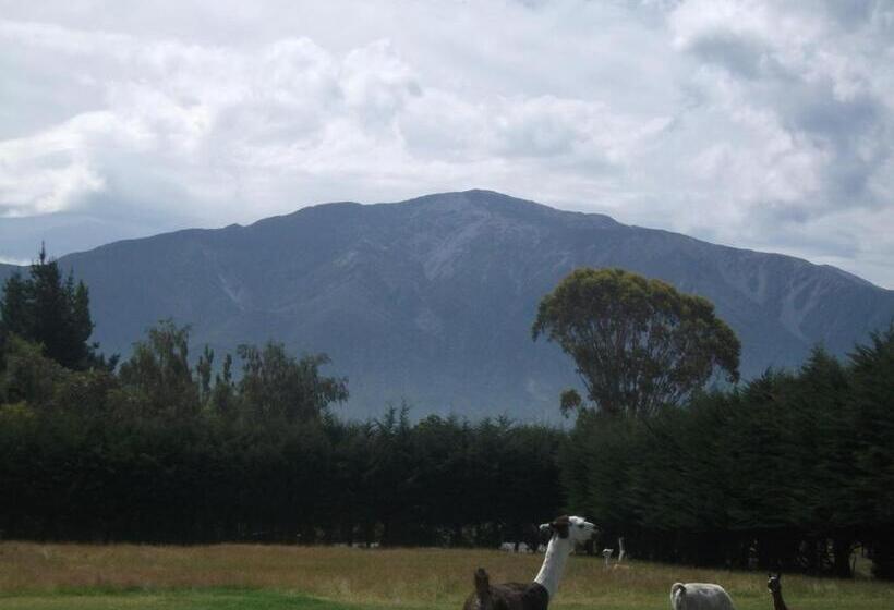 Standard Tent, Wacky Stays   Unique Farm Stay Glamping Rentals, Free Animal Feeding Tours