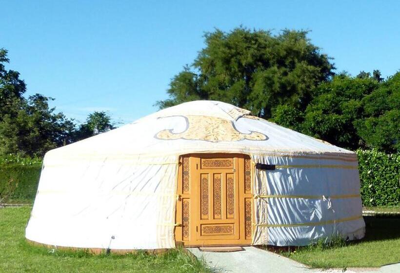 Номер Стандарт, Wacky Stays   Unique Farm Stay Glamping Rentals, Free Animal Feeding Tours