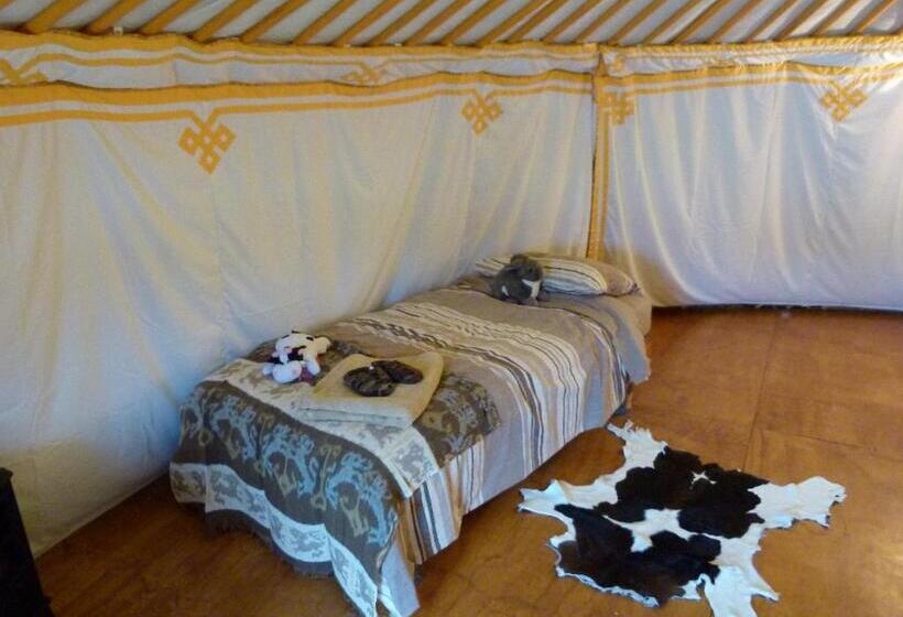 غرفة قياسية, Wacky Stays   Unique Farm Stay Glamping Rentals, Free Animal Feeding Tours