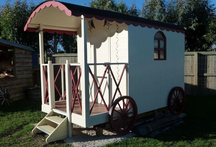 Дом 1 Спальня, Wacky Stays   Unique Farm Stay Glamping Rentals, Free Animal Feeding Tours