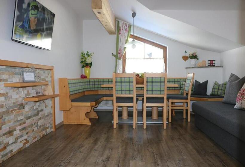 Апартаменты 2 Спальни с Балконом, Gästehaus Pilz Schladming