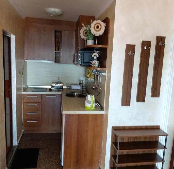 Студио Стандарт Вид на Море с Балконом, Guest House Skalite