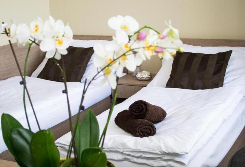 اتاق استاندارد برای معلولان, Penzion S Wellness Uherské Hradiště