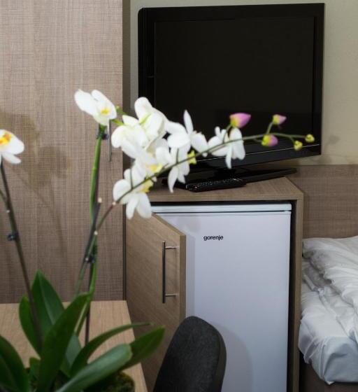 اتاق استاندارد سه تخته با سرویس بهداشتی مشترک, Penzion S Wellness Uherské Hradiště