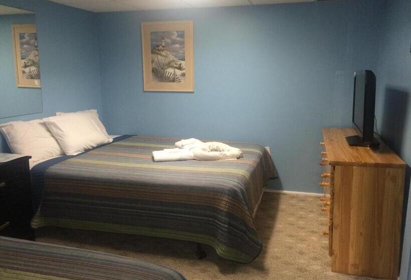 Студия Стандарт, The New Oceanic Inn