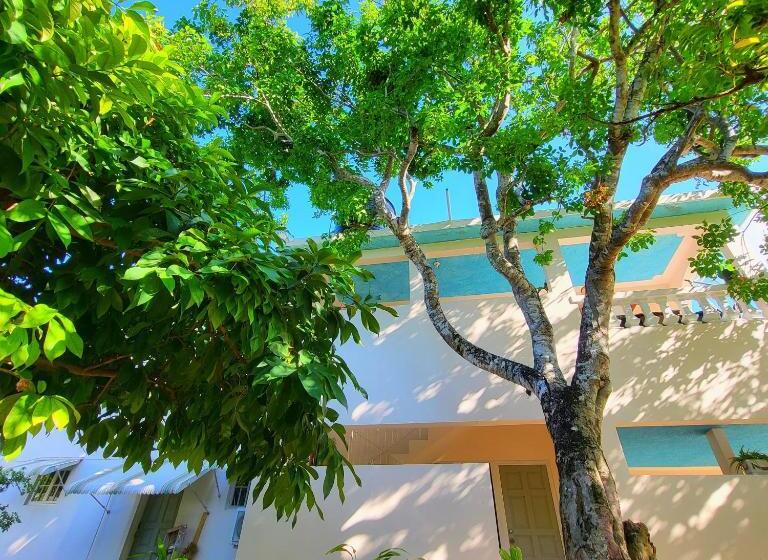 آپارتمان 3 خوابه, Green's Palace Jamaica