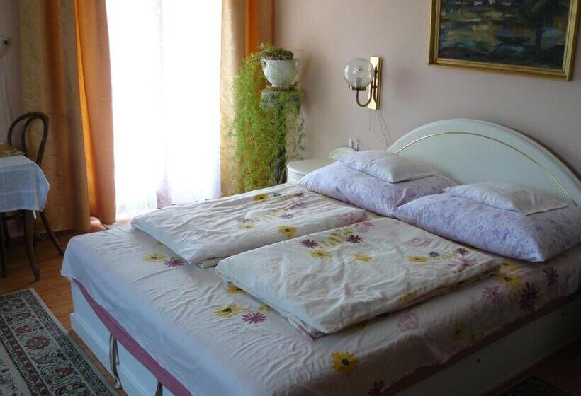 Студио Стандарт с Балконом, Hejő Apartman