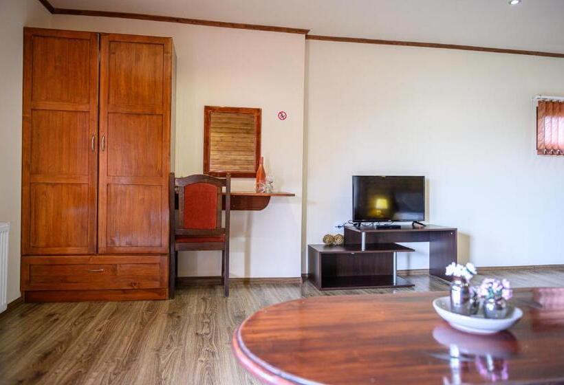 استودیو استاندارد با تخت کینگ, Medi Guest House