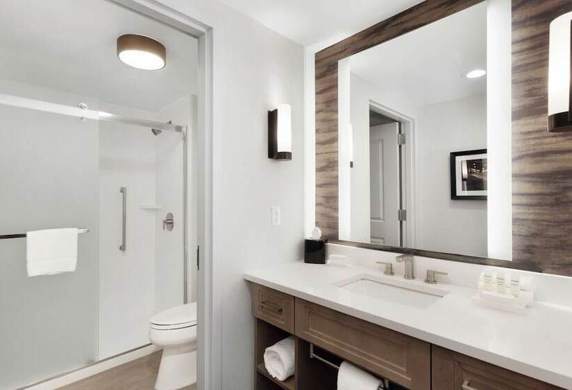 סטודיו סטנדרט מיטה זוגית, Homewood Suites By Hilton Providence Downtown