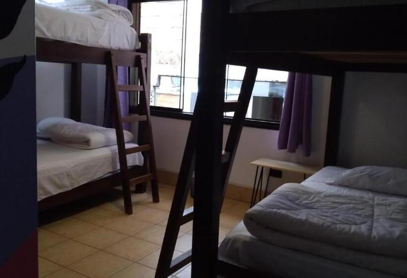 تختخواب در اتاق مشترک, Supertramp Hostel Machupicchu