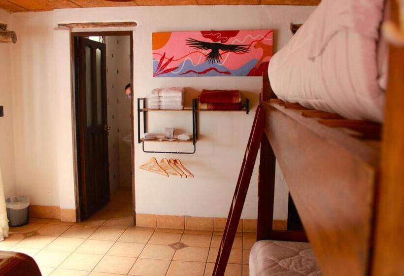 اتاق لوکس چهار تخته, Supertramp Hostel Machupicchu