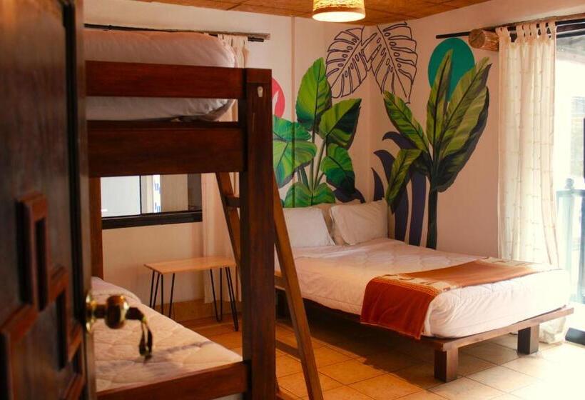 اتاق لوکس چهار تخته, Supertramp Hostel Machupicchu
