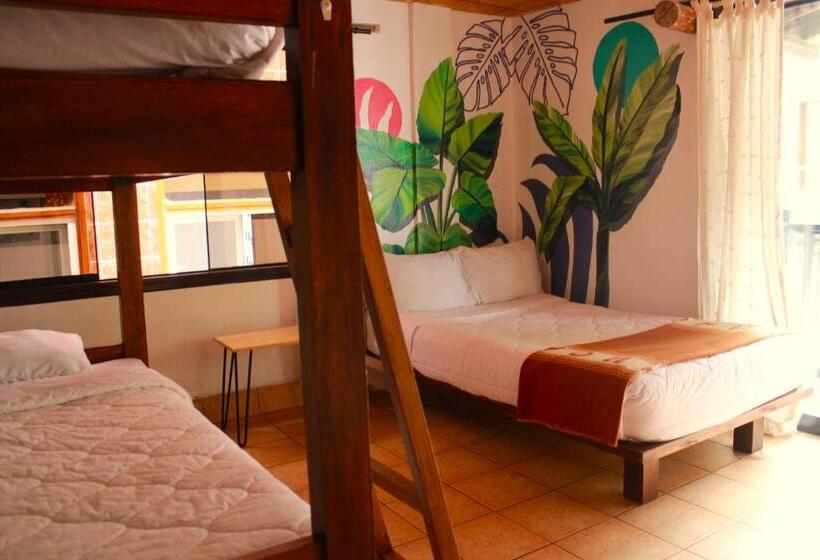 اتاق لوکس چهار تخته, Supertramp Hostel Machupicchu