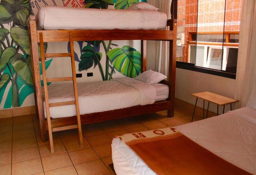 اتاق لوکس چهار تخته, Supertramp Hostel Machupicchu