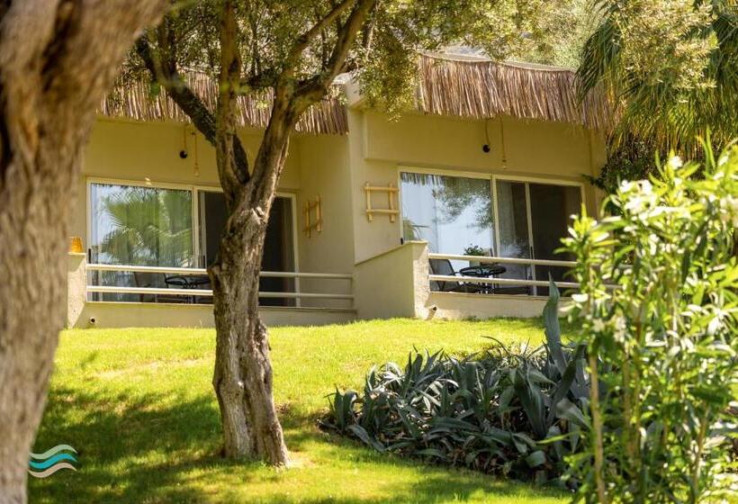 اتاق سوپریور, Plataria Seaside Resort