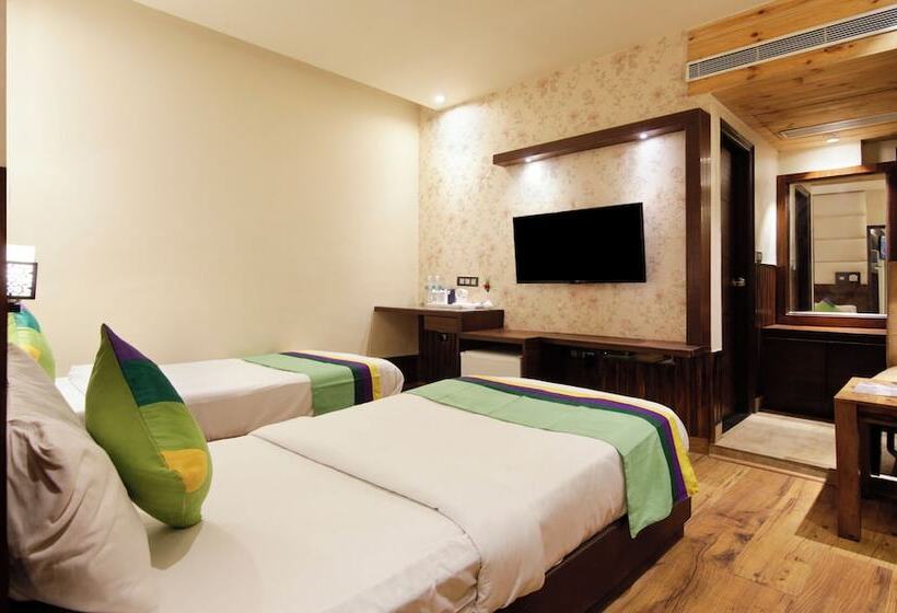 اتاق استاندارد, Treebo Punjabi Nature Residency, Near Faridabad Railway Station