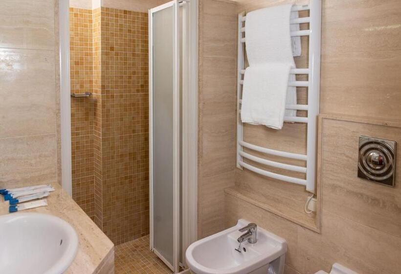اتاق استاندارد یک نفره, Rvhotels Broquetas Spa Termal