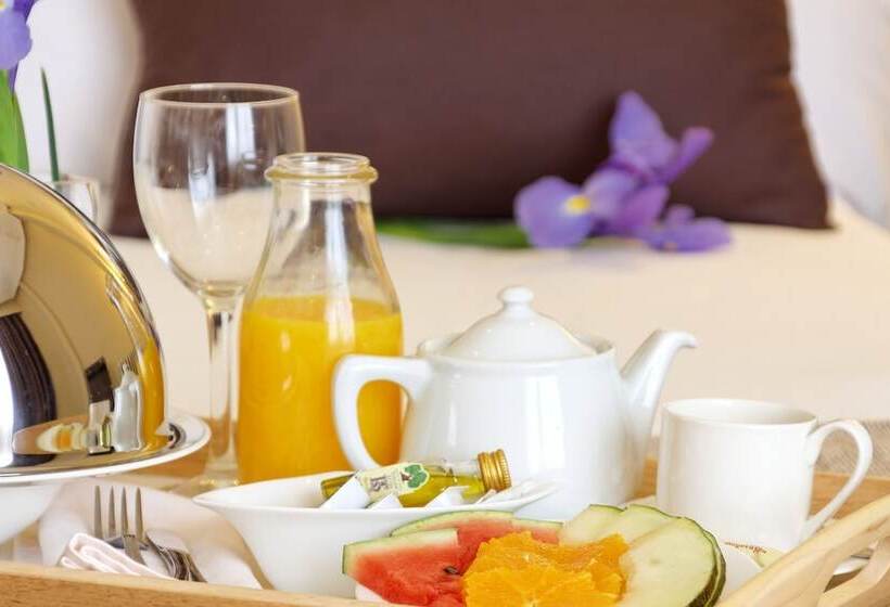 اتاق پرمیوم, Hotel Mayorazgo