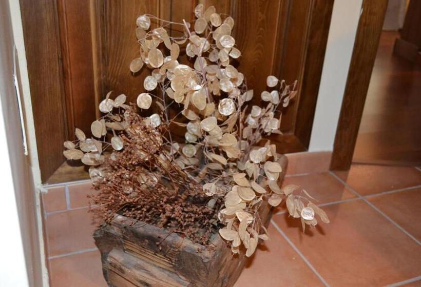 آپارتمان 1 خوابه, Hostal Refugio De Gredos
